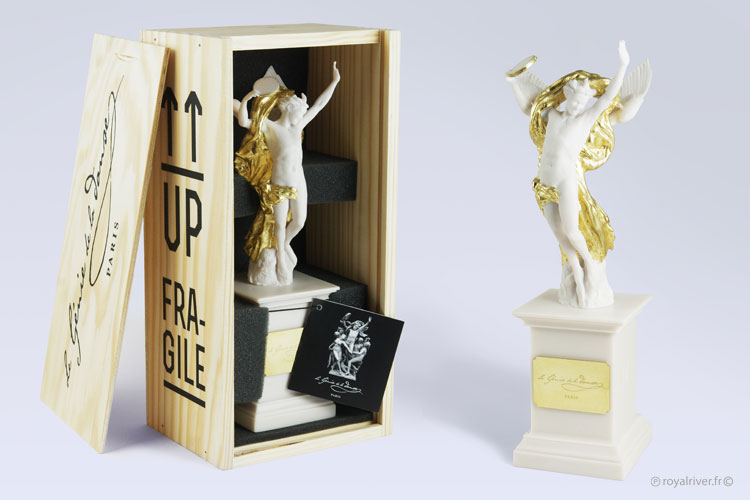 Packaging Génie de la Danse Image